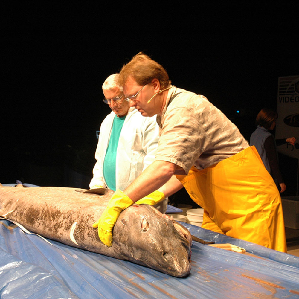 2006