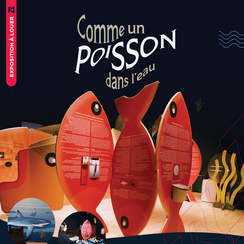comme-un-poisson